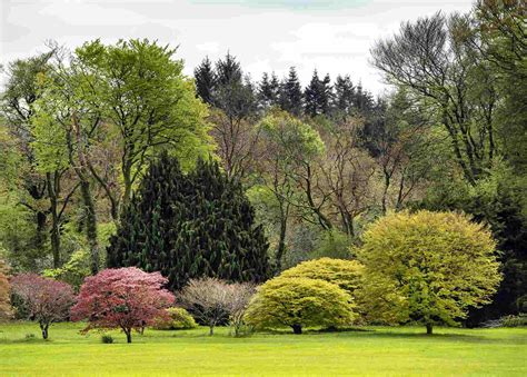 arboretum